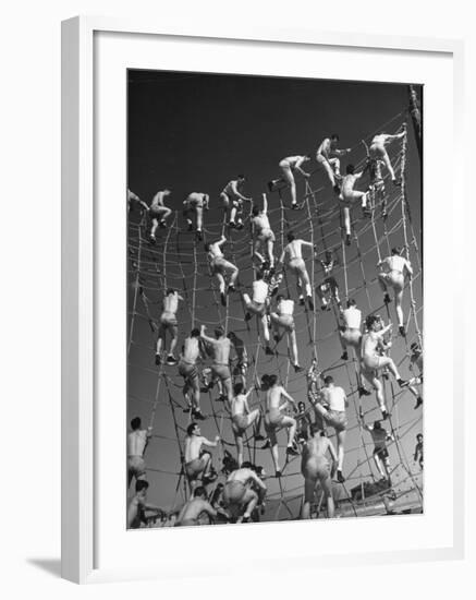 Cadets in the US Navy Climbing Rope Wall During Obstacle Course-Dmitri Kessel-Framed Photographic Print