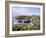 Cadgwith Harbour and Village, Cornwall, England, United Kingdom-Adam Woolfitt-Framed Photographic Print