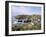 Cadgwith Harbour and Village, Cornwall, England, United Kingdom-Adam Woolfitt-Framed Photographic Print
