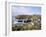 Cadgwith Harbour and Village, Cornwall, England, United Kingdom-Adam Woolfitt-Framed Photographic Print