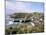 Cadgwith Harbour and Village, Cornwall, England, United Kingdom-Adam Woolfitt-Mounted Photographic Print