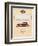 Cadillac, Magazine Advertisement, USA, 1931-null-Framed Giclee Print