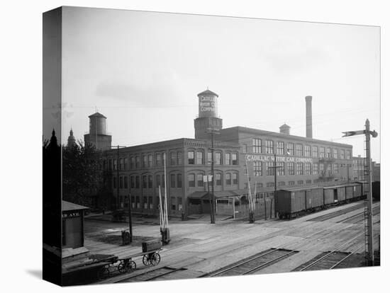 Stretched Canvas Print, , large