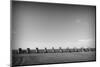 Cadillac Ranch 3-John Gusky-Mounted Photographic Print