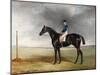 Cadland', 1830-John E. Ferneley-Mounted Premium Giclee Print