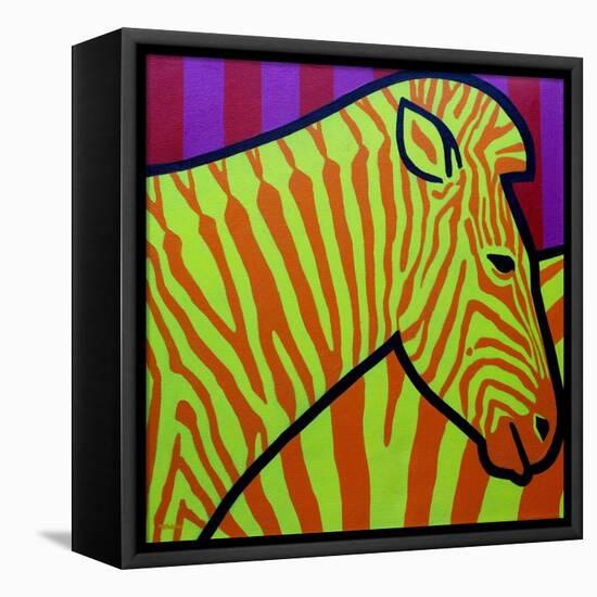 Cadmium Zebra-John Nolan-Framed Premier Image Canvas