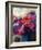 Caen Anemones with Daisies-Karen Armitage-Framed Giclee Print