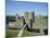Caerphilly Castle, Glamorgan, Wales, UK, Europe-Adina Tovy-Mounted Photographic Print