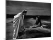 Premium Photographic Print