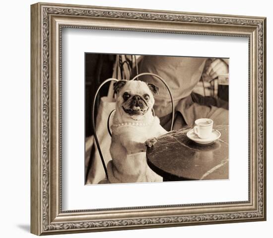 Caf� Pug-Jim Dratfield-Framed Art Print