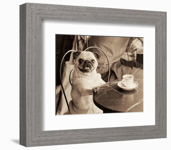 Caf� Pug-Jim Dratfield-Framed Art Print