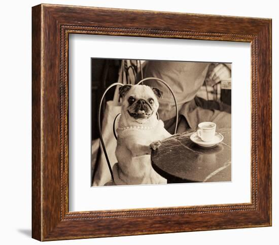 Caf� Pug-Jim Dratfield-Framed Art Print