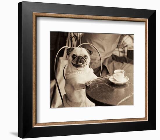 Caf� Pug-Jim Dratfield-Framed Art Print