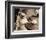 Caf� Pug-Jim Dratfield-Framed Art Print