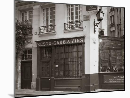 Cafe/Brasserie, Ile De La Cite, Paris, France-Jon Arnold-Mounted Photographic Print
