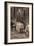 Cafe Chairs II-Rita Crane-Framed Photographic Print