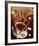 Cafe Pirouette-Michael L^ Kungl-Framed Art Print