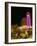 Cafes at Night, Place d'Etoile, Beirut, Lebanon, Middle East-Alison Wright-Framed Photographic Print