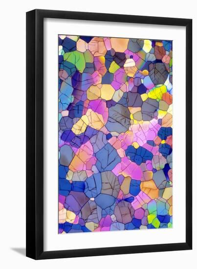 Caffeine Crystals, Light Micrograph-David Parker-Framed Photographic Print