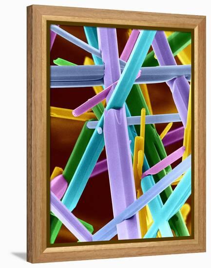 Caffeine Crystals, SEM-Dr. Jeremy Burgess-Framed Premier Image Canvas