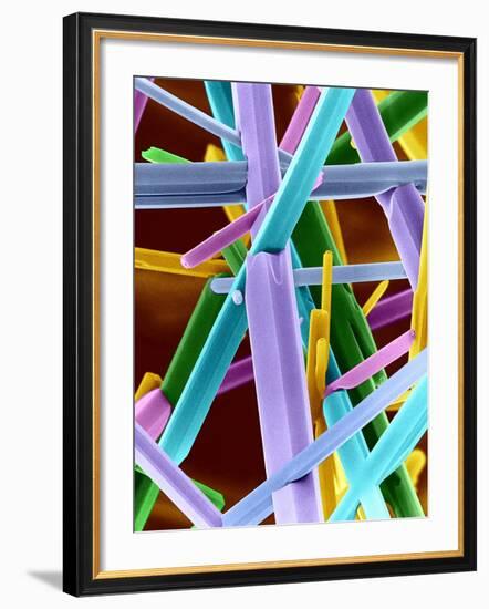 Caffeine Crystals, SEM-Dr. Jeremy Burgess-Framed Photographic Print