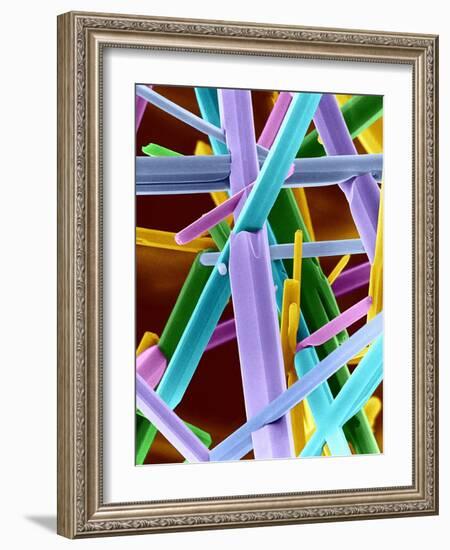 Caffeine Crystals, SEM-Dr. Jeremy Burgess-Framed Photographic Print