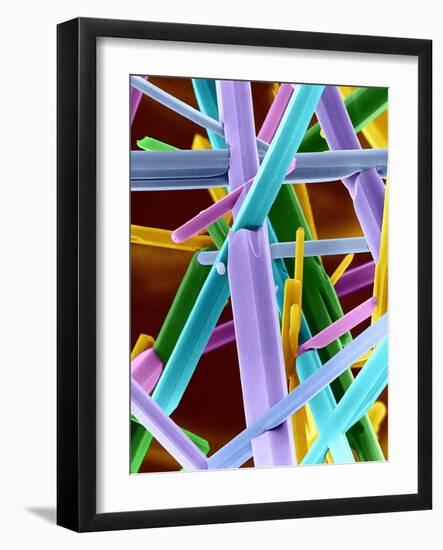 Caffeine Crystals, SEM-Dr. Jeremy Burgess-Framed Photographic Print