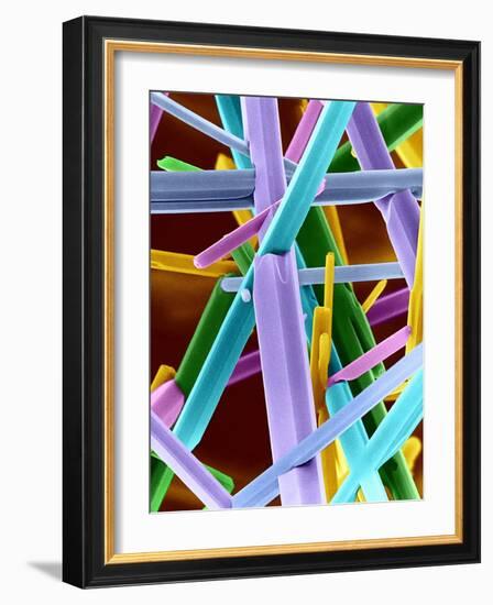 Caffeine Crystals, SEM-Dr. Jeremy Burgess-Framed Photographic Print