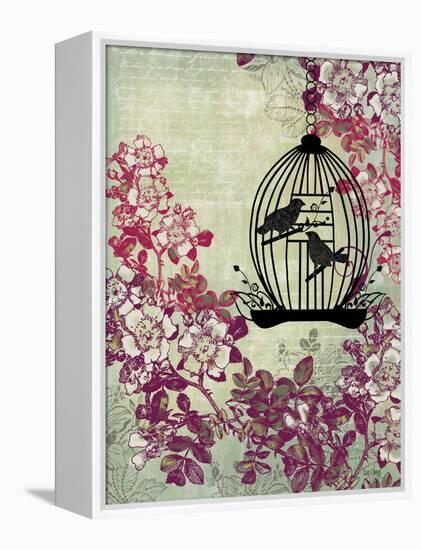 Caged Bird Song-Bee Sturgis-Framed Stretched Canvas