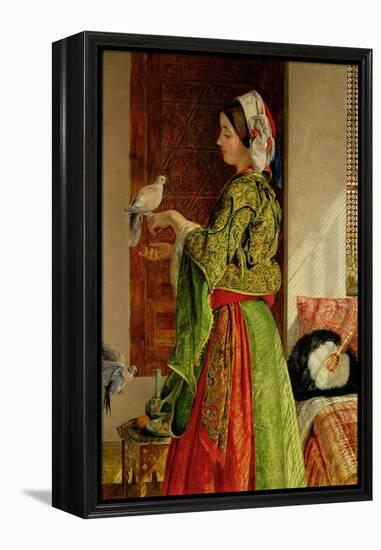 Caged Doves-John Frederick Lewis-Framed Premier Image Canvas