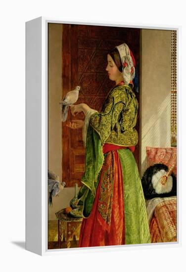 Caged Doves-John Frederick Lewis-Framed Premier Image Canvas