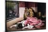 Caged Lion with Sleeping Woman, C19th Century-null-Mounted Giclee Print