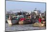 Cai Rang Floating Market, Can Tho, Mekong Delta, Vietnam, Indochina, Southeast Asia, Asia-Ian Trower-Mounted Photographic Print