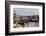 Cai Rang Floating Market, Can Tho, Mekong Delta, Vietnam, Indochina, Southeast Asia, Asia-Ian Trower-Framed Photographic Print