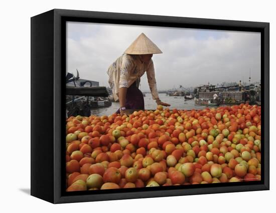 Cai Rang Floating Market on the Mekong Delta, Can Tho, Vietnam, Indochina, Southeast Asia-Andrew Mcconnell-Framed Premier Image Canvas