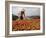 Cai Rang Floating Market on the Mekong Delta, Can Tho, Vietnam, Indochina, Southeast Asia-Andrew Mcconnell-Framed Photographic Print