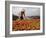 Cai Rang Floating Market on the Mekong Delta, Can Tho, Vietnam, Indochina, Southeast Asia-Andrew Mcconnell-Framed Photographic Print