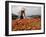 Cai Rang Floating Market on the Mekong Delta, Can Tho, Vietnam, Indochina, Southeast Asia-Andrew Mcconnell-Framed Photographic Print