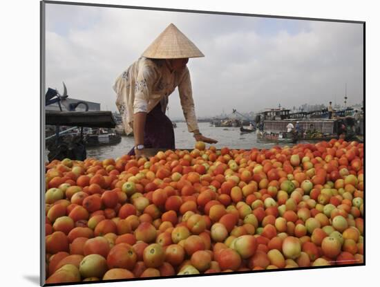 Cai Rang Floating Market on the Mekong Delta, Can Tho, Vietnam, Indochina, Southeast Asia-Andrew Mcconnell-Mounted Photographic Print