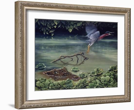 Caiman and Green-Backed Heron-Harro Maass-Framed Giclee Print