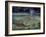 Caiman and Green-Backed Heron-Harro Maass-Framed Giclee Print