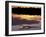 Caiman in Lagoon at Sunset, Pantanal, Brazil-Theo Allofs-Framed Photographic Print