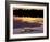 Caiman in Lagoon at Sunset, Pantanal, Brazil-Theo Allofs-Framed Photographic Print