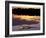 Caiman in Lagoon at Sunset, Pantanal, Brazil-Theo Allofs-Framed Photographic Print