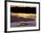 Caiman in Lagoon at Sunset, Pantanal, Brazil-Theo Allofs-Framed Photographic Print