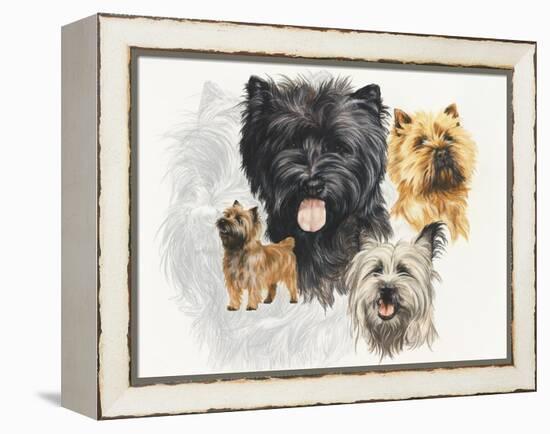 Cairn Terrier-Barbara Keith-Framed Premier Image Canvas