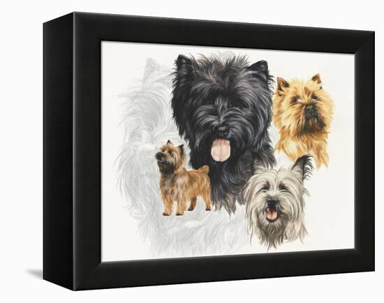 Cairn Terrier-Barbara Keith-Framed Premier Image Canvas