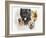 Cairn Terrier-Barbara Keith-Framed Giclee Print