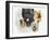 Cairn Terrier-Barbara Keith-Framed Giclee Print