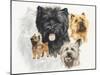 Cairn Terrier-Barbara Keith-Mounted Giclee Print